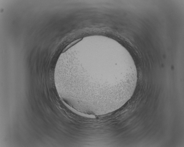 X0000078261492200612011641