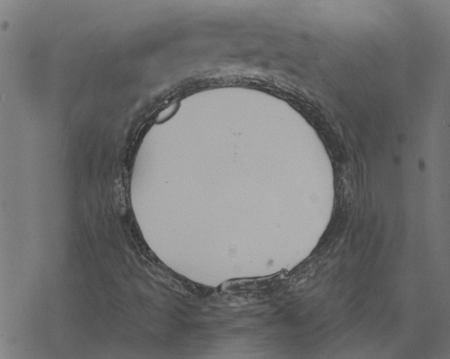 X0000078261493200612011641