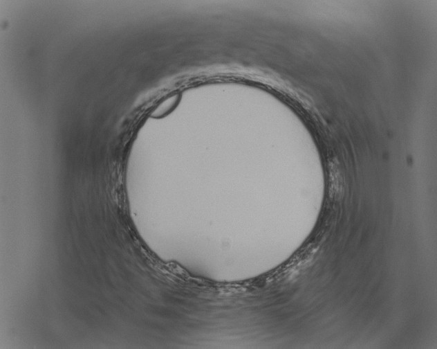 X0000078261494200612011641