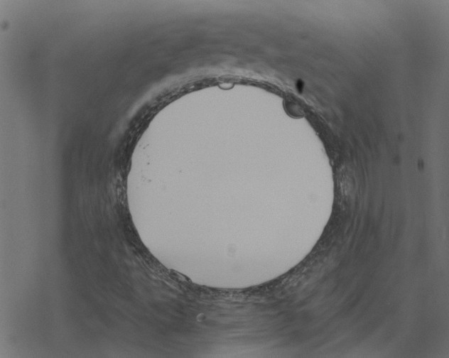 X0000078261495200612011641