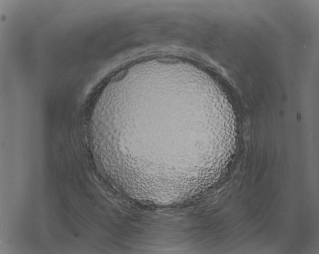 X0000078261496200612011641