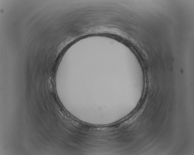 X0000078261497200612011641