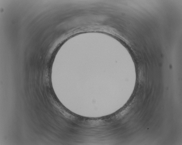 X0000078261498200612011641