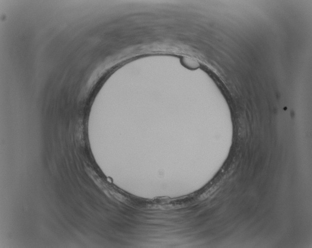 X0000078261499200612011641