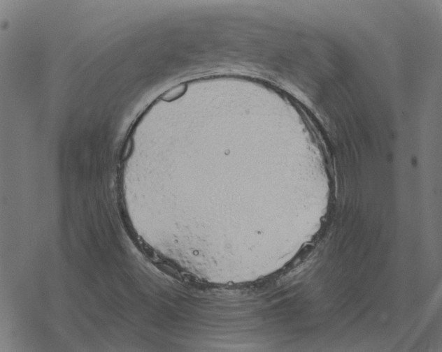 X0000078261500200612011641