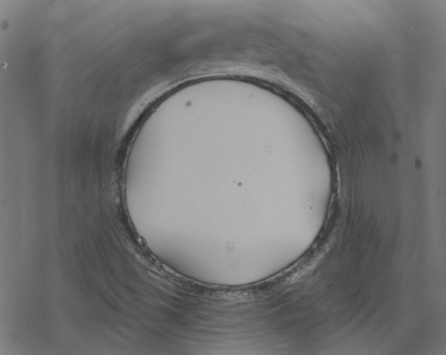 X0000078261501200612011641