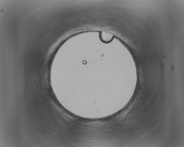 X0000078261502200612011641