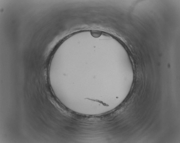 X0000078261503200612011641