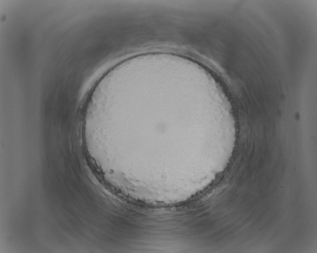 X0000078261504200612011641