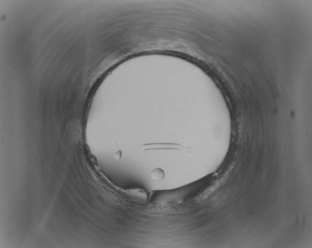 X0000078261505200612011641