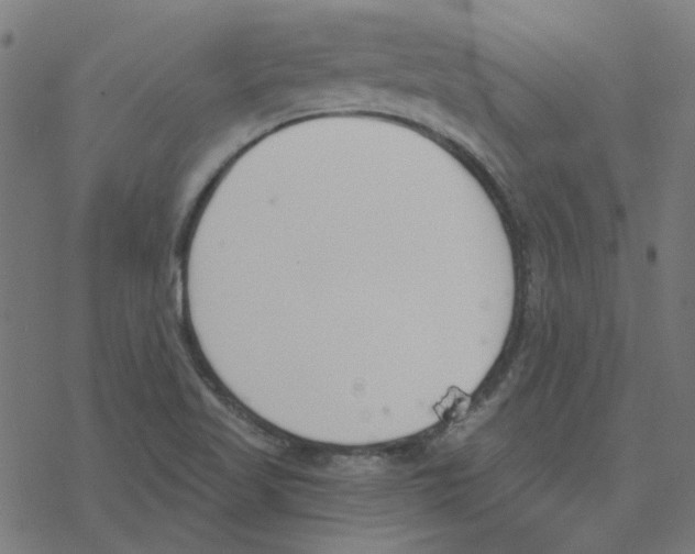 X0000078261509200612011641