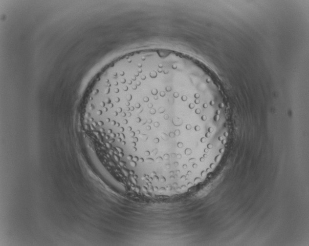 X0000078261510200612011641