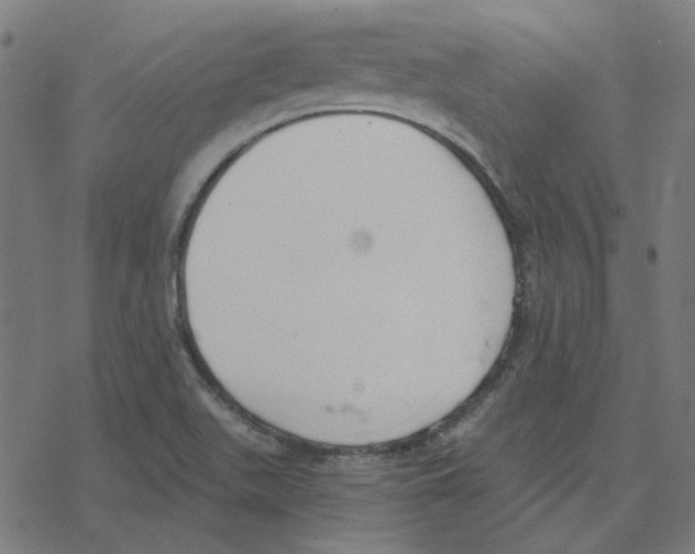 X0000078261511200612011641