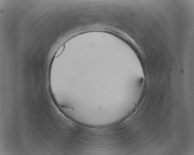 X0000078261512200612011641