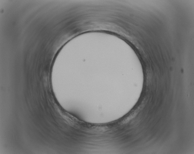 X0000078261513200612011641