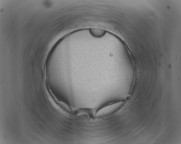 X0000078261515200612011641