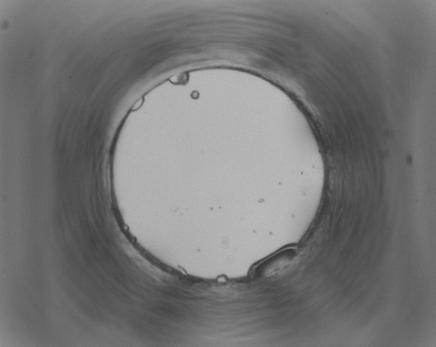 X0000078261516200612011641