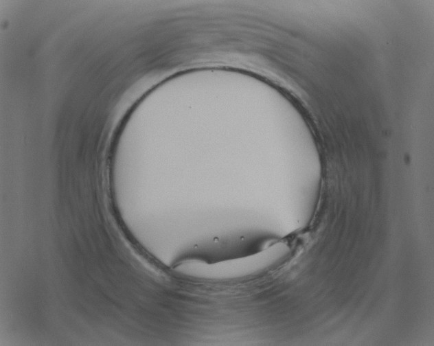 X0000078261517200612011642