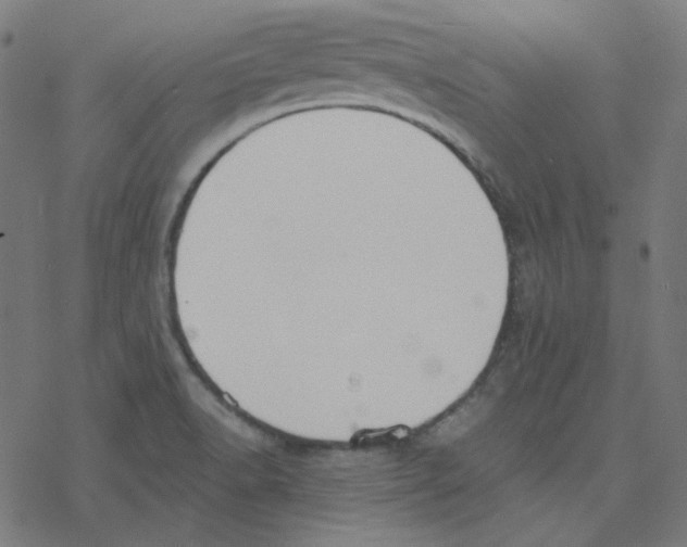 X0000078261518200612011642