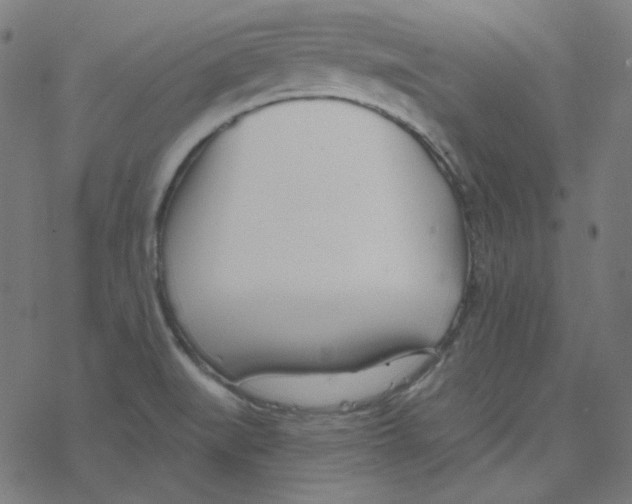 X0000078261519200612011642