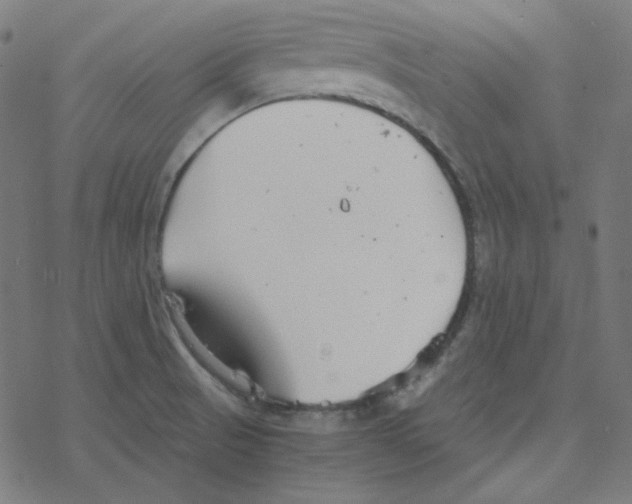 X0000078261521200612011642