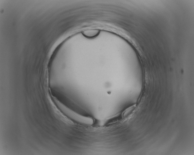 X0000078261522200612011642