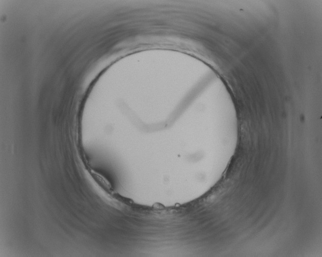 X0000078261523200612011642