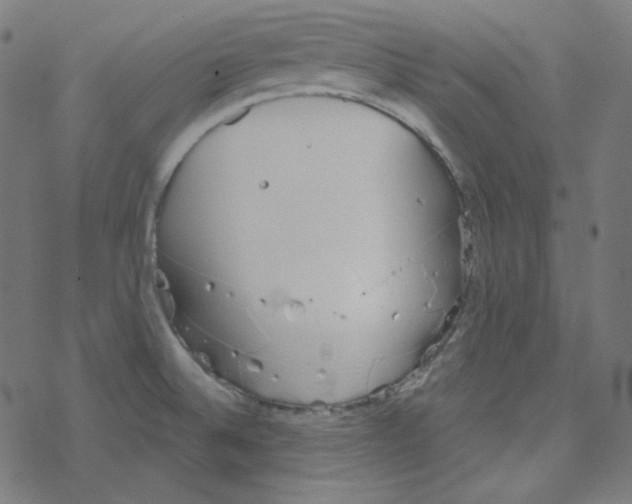 X0000078261524200612011642