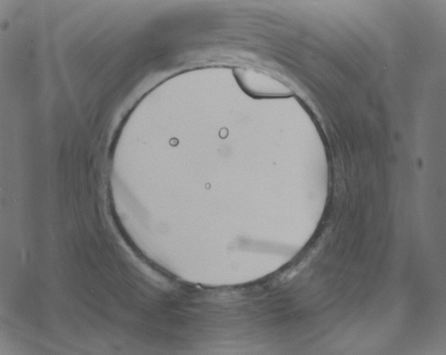 X0000078261525200612011642