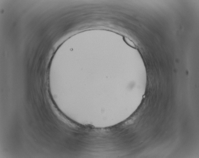 X0000078261526200612011642