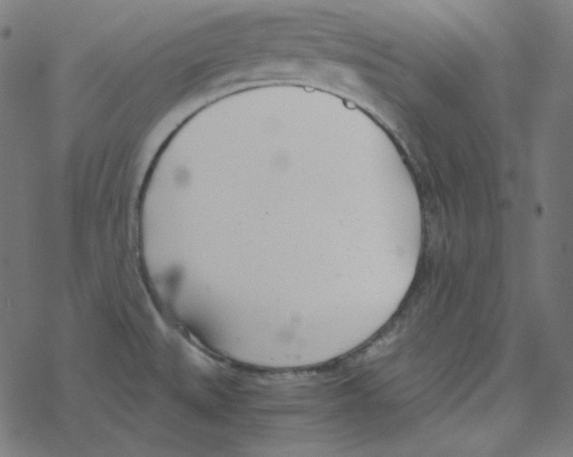 X0000078261527200612011642