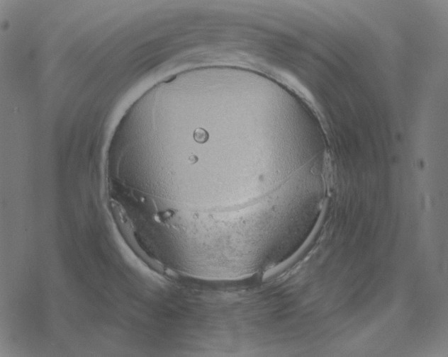 X0000078261528200612011642