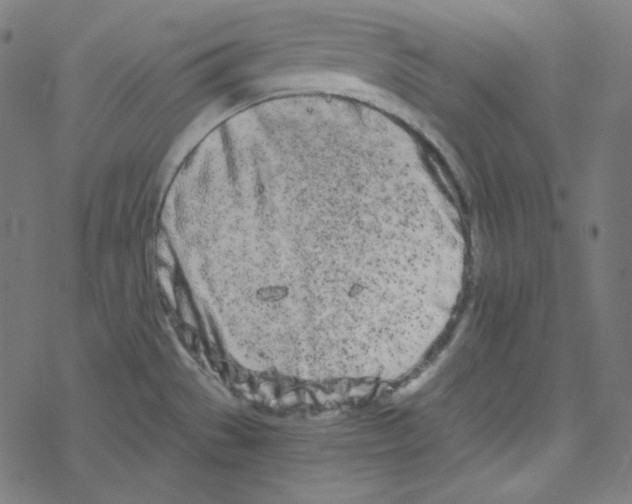 X0000078261529200612011642