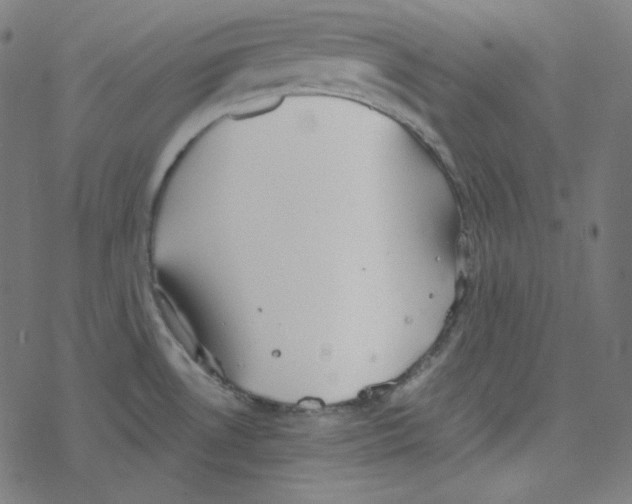 X0000078261530200612011642