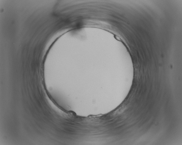 X0000078261531200612011642