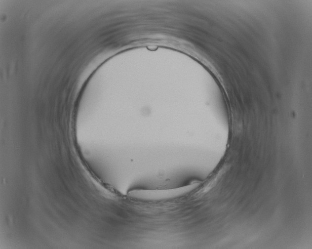 X0000078261533200612011642