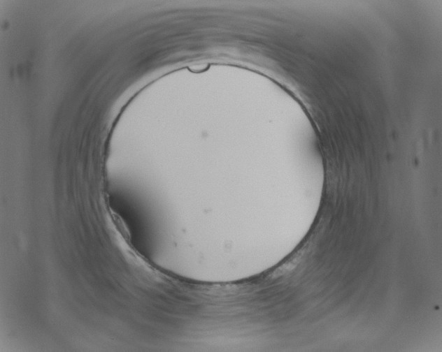 X0000078261534200612011642