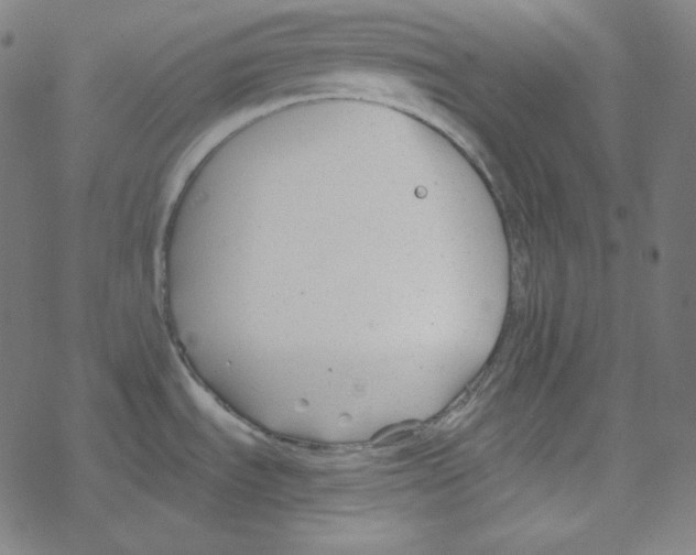 X0000078261535200612011642