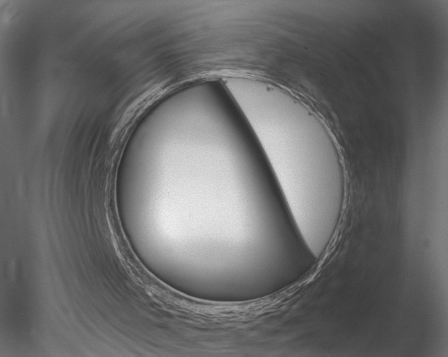 X0000078270001200611031003