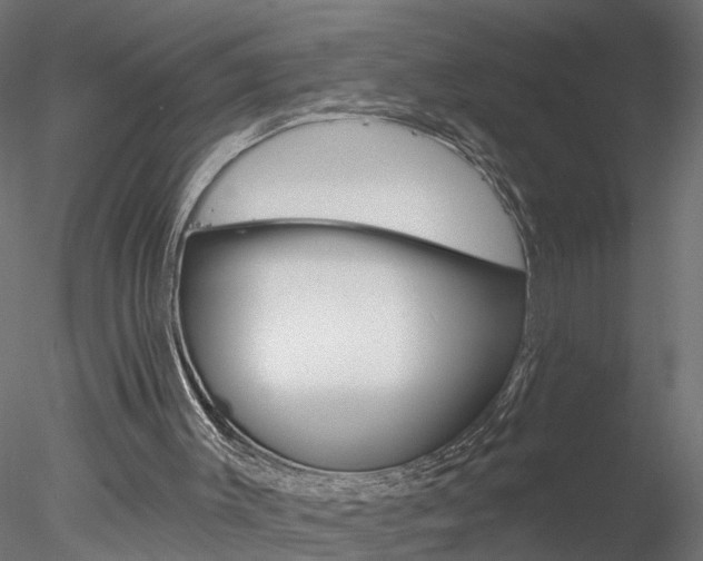X0000078270003200611031002