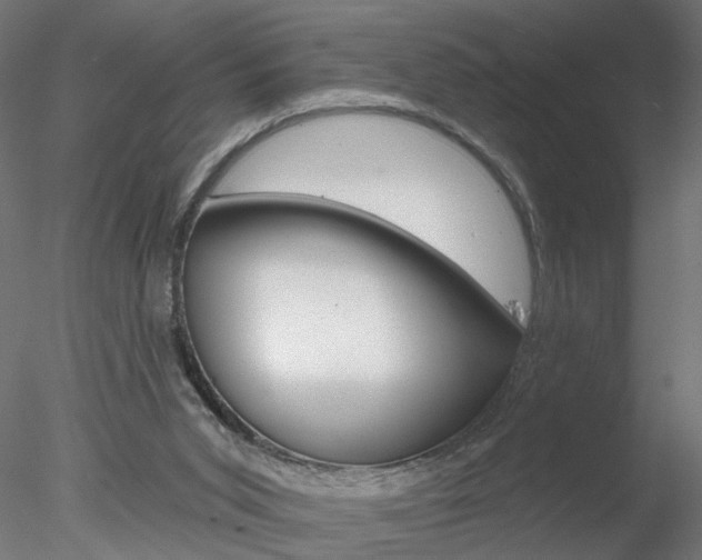 X0000078270015200611031002