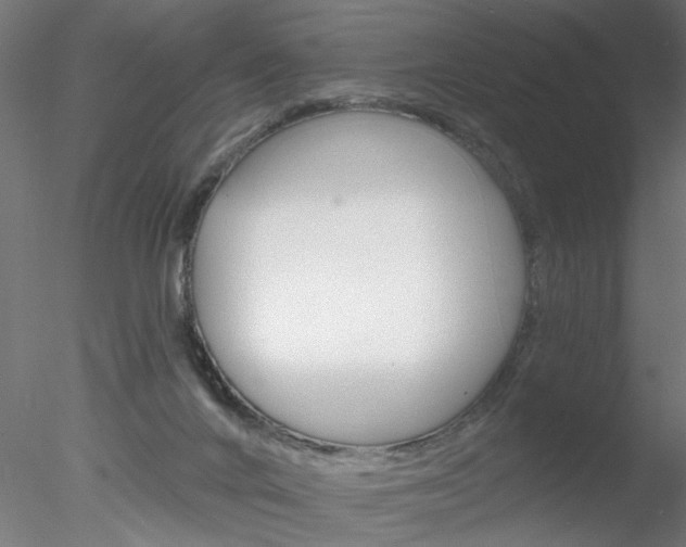 X0000078270024200611031002