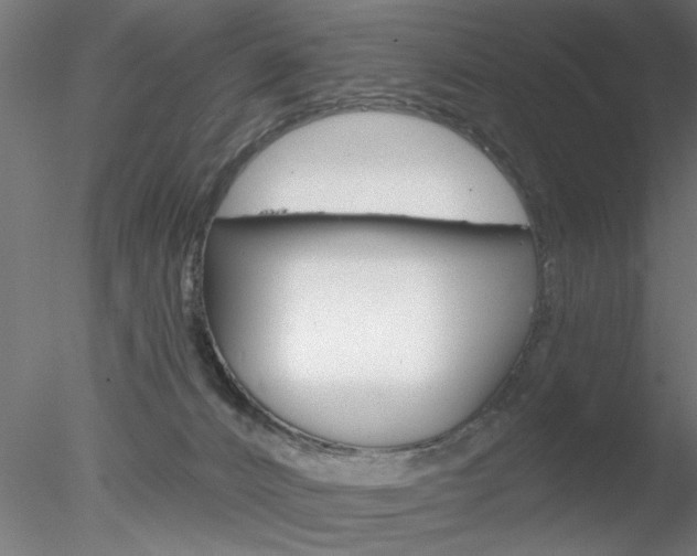 X0000078270032200611031002