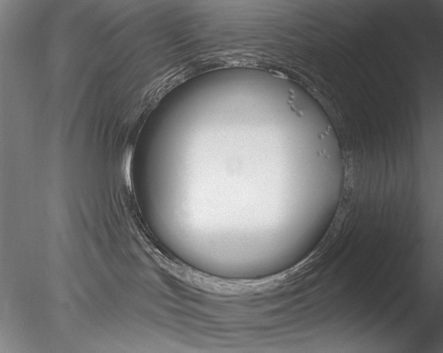 X0000078270047200611031002