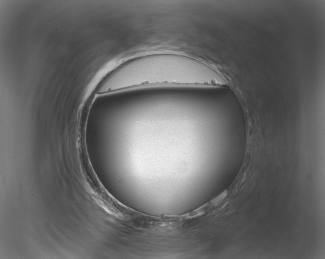 X0000078270056200611031001