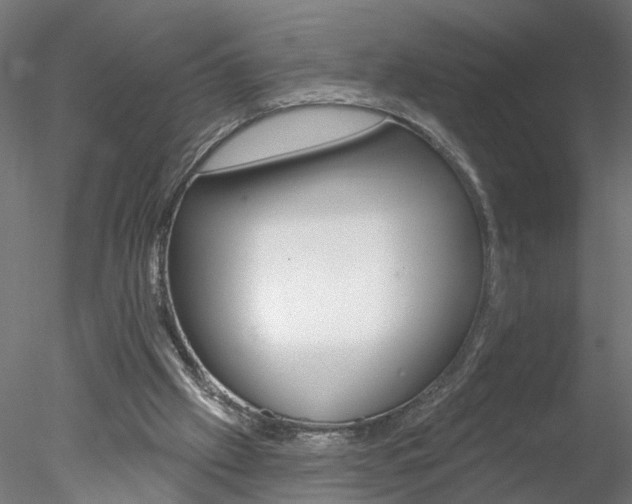 X0000078270057200611031001
