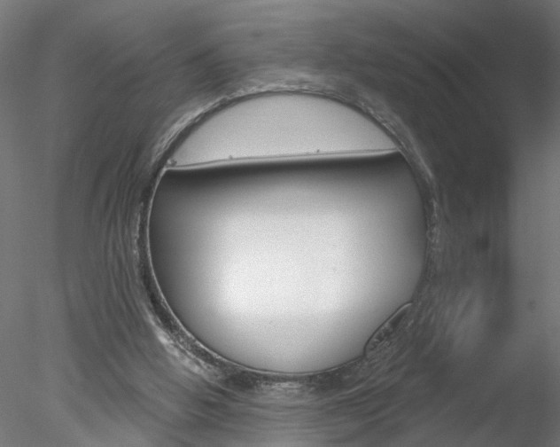 X0000078270058200611031001