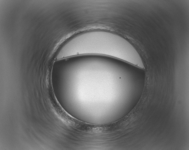 X0000078270064200611031001