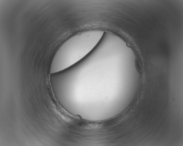 X0000078270065200611031001