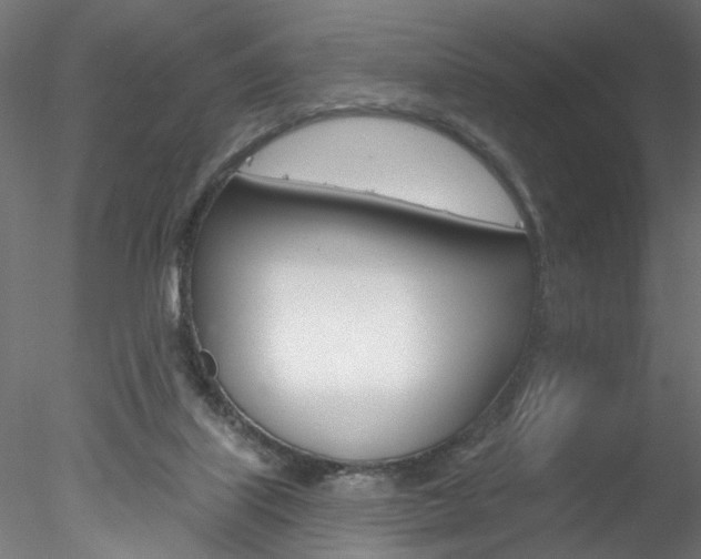X0000078270067200611031001
